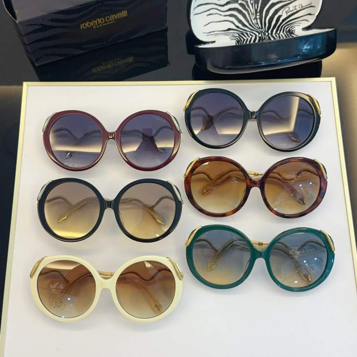 Picture of Roberto Cavalli Sunglasses _SKUfw60553882fw